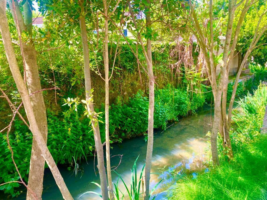 Domaine D'Ella Jourre Apartment Canet  Bagian luar foto